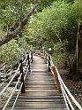 similan-marzo-2009 (27)